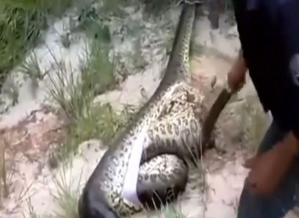 ����һ�����ߺ��ֶ��ﾹȻ��һ������