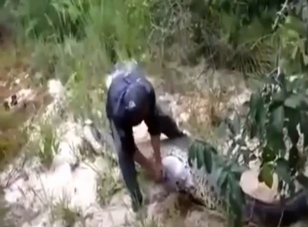 ����һ�����ߺ��ֶ��ﾹȻ��һ������