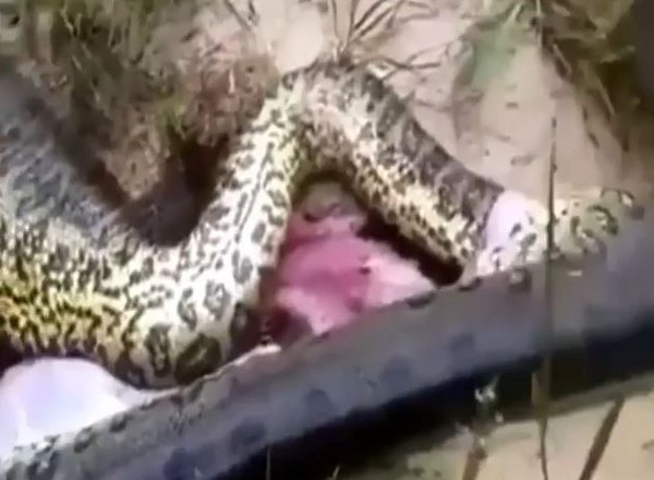 ����һ�����ߺ��ֶ��ﾹȻ��һ������