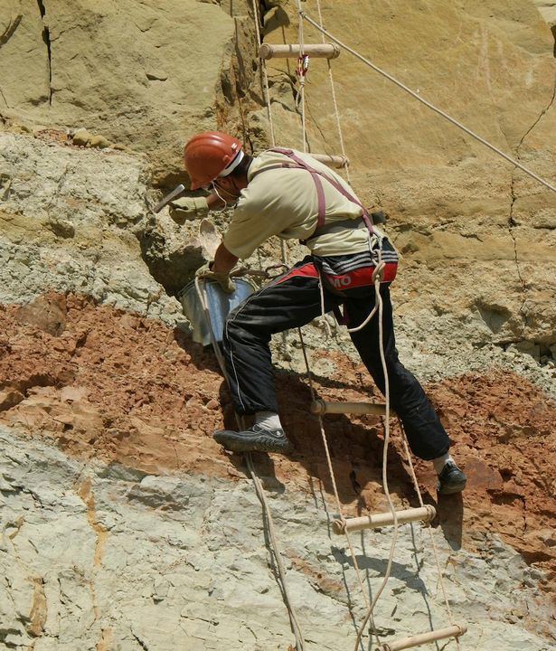 俄罗斯科学家在西利比亚发现新种恐龙“西伯利亚龙”