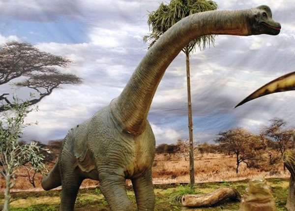研究人员指,新类型的恐龙与泰坦巨龙属(图)近似。