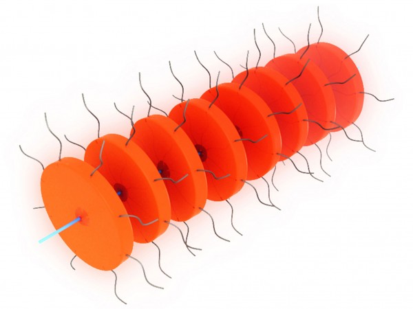 ��ѧ���Ƴ�һ�ָ��ʺϸ������������������΢������