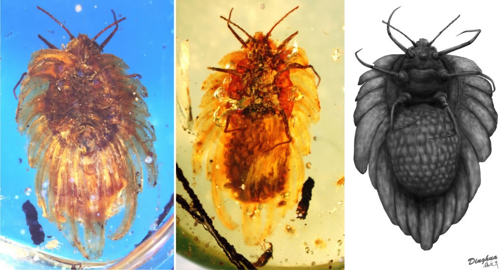 ��ʯ���桢���漰���渴ԭͼ