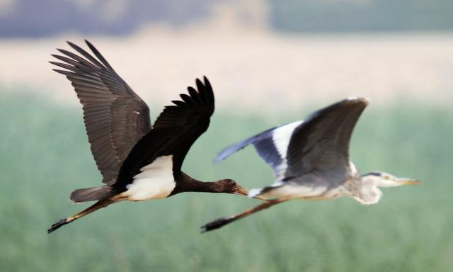 ���в�����������ʹ��ɽȸ�Ļ�����