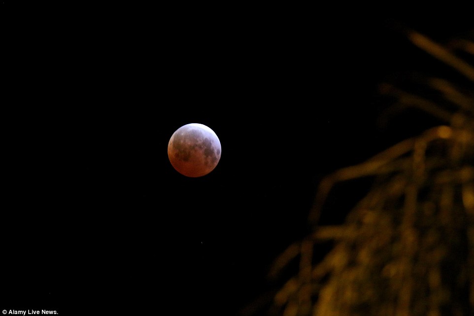 ʥ�Ͱ���ҹ���е���ȫʳ