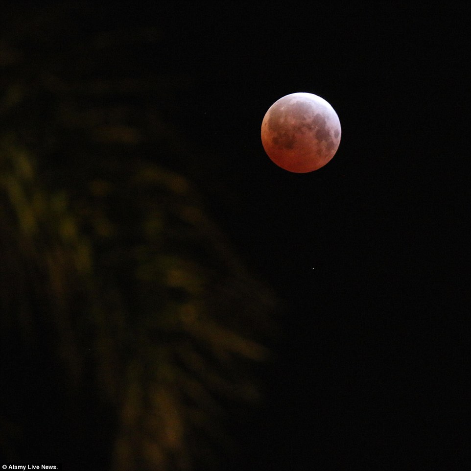 �Ƿ���ֺ�����ȡ���ڼ������أ�������ɽ���ڴ����е���