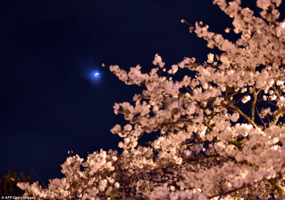 ҹ���е���ȫʳ