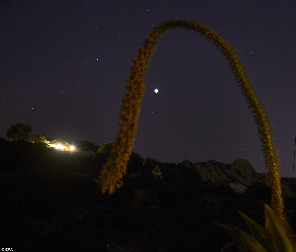 ��������ʥĪ�Ῠɽ��ҹ���е����£���ȫʳ������ʼ��