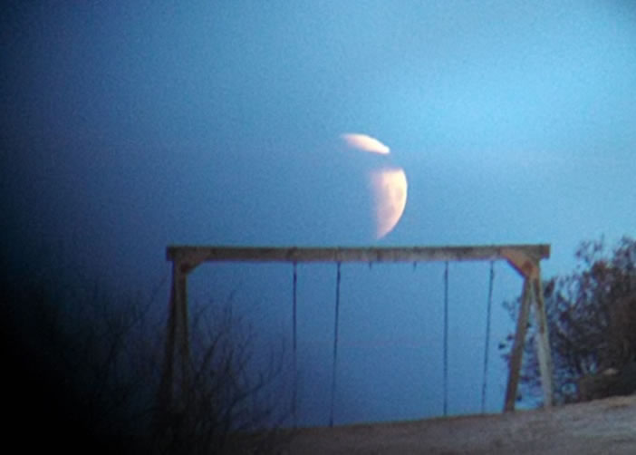 �Ʋ��ڱ�����ȫʳ��