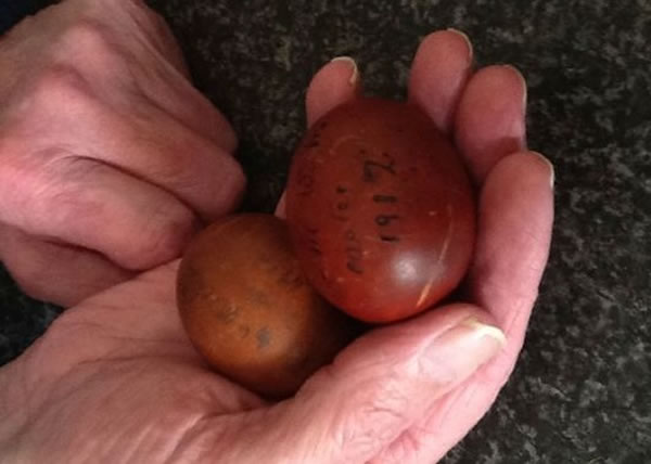 ���ŹŶ���������������