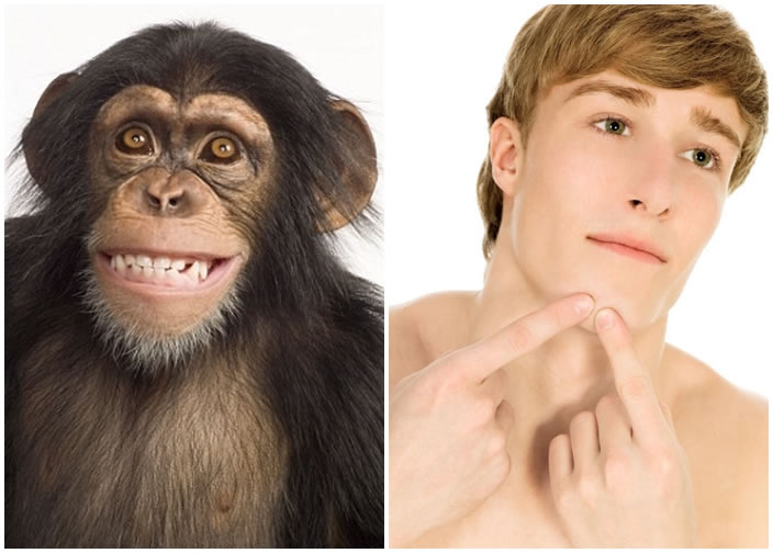 �о�ָ�ˣ���ͼ�����°ͣ��������鳤�ද���糤��Գ����ͼ��û�У��������˶���ʳ��