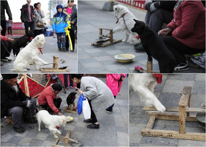 �ڰ׹��ڽ�ͷ�������գ���������;��Χ�۴��͡�