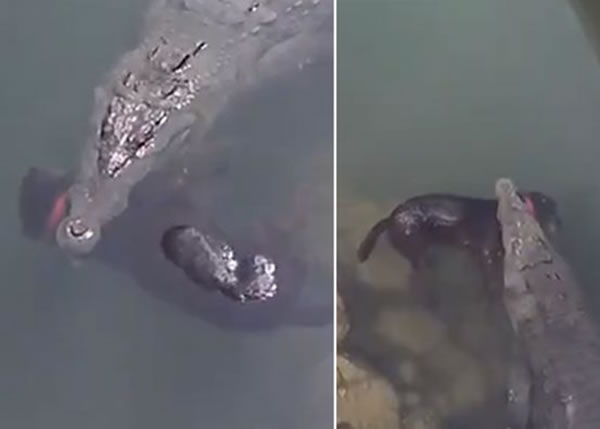 ����һĻ��һ����������ҧ��ɫ���������������