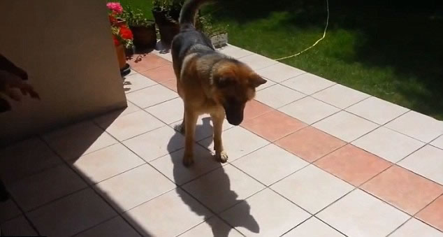 ��Ȯ��ʼʱ�����Լ���Ӱ��