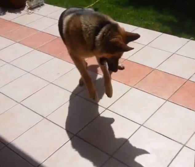 ��Ȯ��ι���Ӱ�Ӷ��޹�����