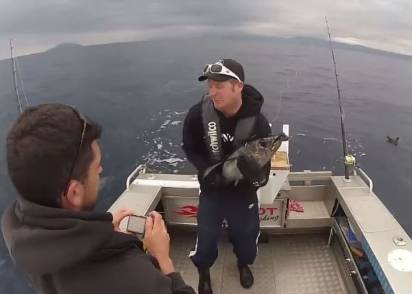 钓鱼男(中)抱起吞拿鱼拍照,被它震得站也站不稳。