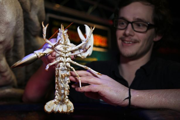 ˮ��ݾȳ������׻���Ϻ���¶ࣨ�󣩡�