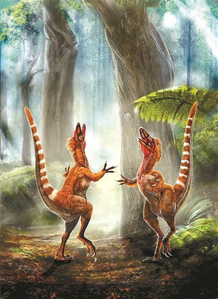 中华龙鸟 2009稿