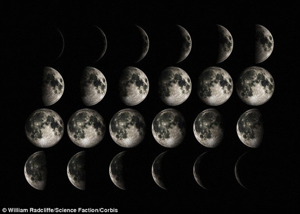 һ��չʾ��ͬ�����ͼ�񡣿����ڡ�����ѧ�챨���ϵ��о�����ָ������E. foeminea���ڷ�ʱ��ÿ�궼���ںܴ���죬������7�µ����½�����ϵ��һ�������Ǹе���