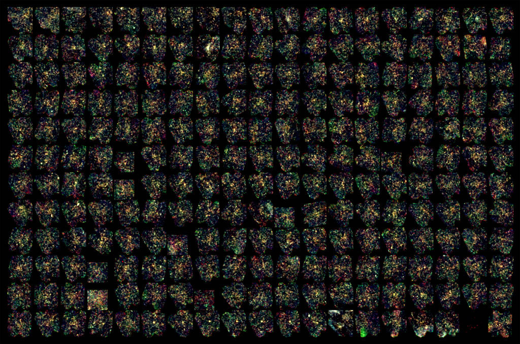 这张马赛克展示228个年轻星系团,照片彩色区域的气体和尘埃密度很高。