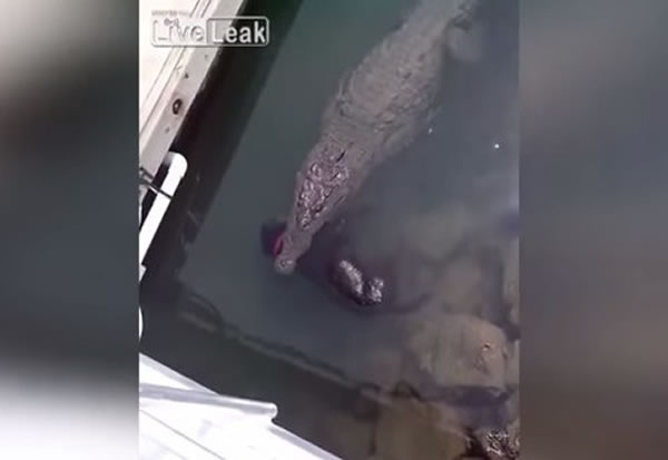 ����������Ź���ʬ��