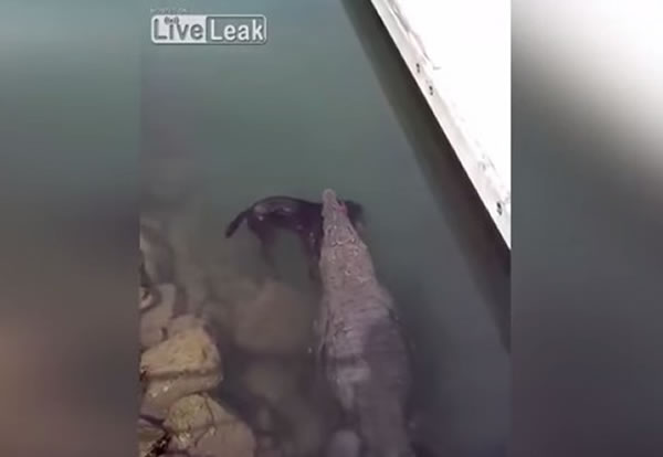 ���㵭���ط��س�Ѩ