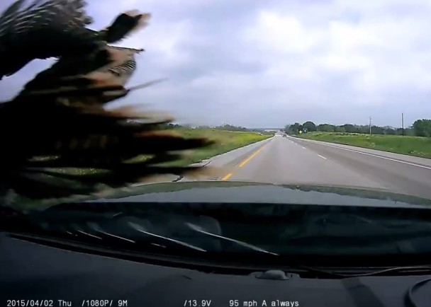 ��ת����ײ�ϵ��粣��