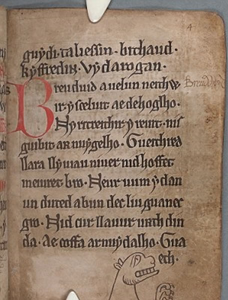 ѧ���������޸����ֱ����ߵ�ͼ����