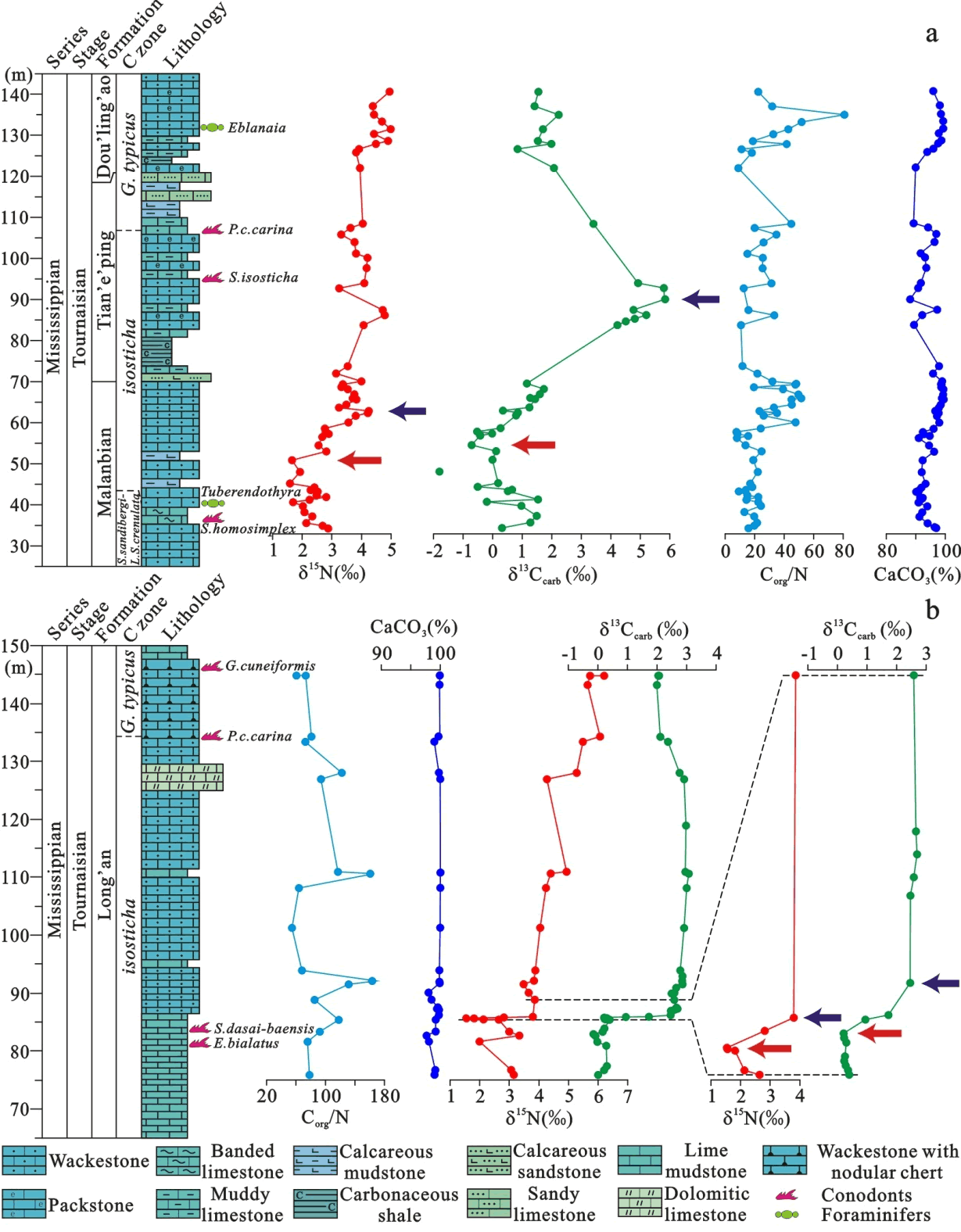 棨a¡棨b޻̼ͬλأ̼/Ⱥ̼ƺ仯ͼ