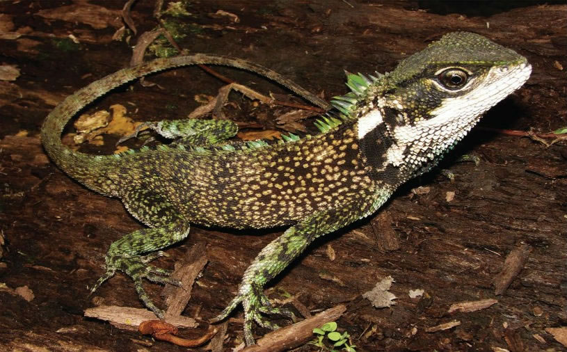 ����˹ɽ���������·���3�ְ���������