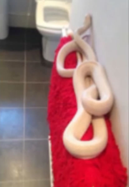 Ӣ������˹�ؿ��������һ��Ů���ڼ���ԡ�ҷ��ְ���