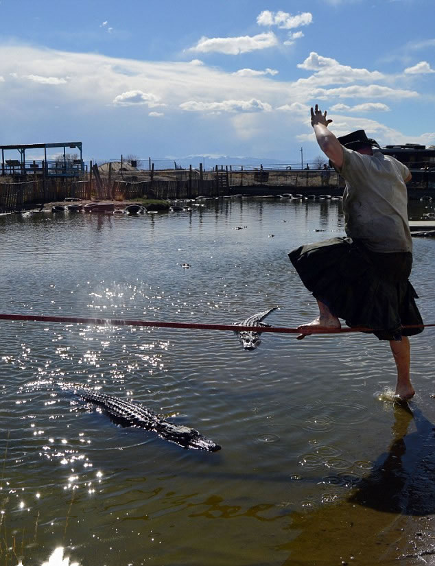 ��������Jason McDonald��������ֳ�����ݾ��ա���������