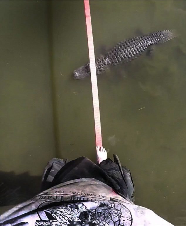 ��������Jason McDonald��������ֳ�����ݾ��ա���������