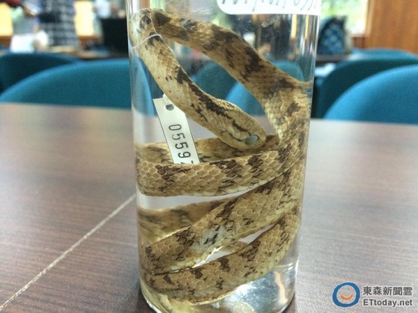 ̨ʦ���о��Ŷӷ���̨���������ࡰ̩�Ŷ�ͷ�ߡ�