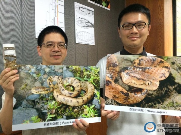 ̨ʦ��������ѧϵ�о����γ��⣨�ң�����������˼�����Ŷӷ������֡�̩�Ŷ�ͷ�ߡ�����ͼ���������ӱ�㣩