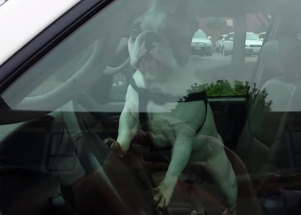 ţ˾ϣһ˫ǰ֫ڼʻϲϰȡ