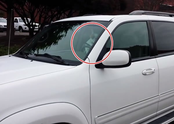 ˹ѭҵһ·ߵԭһֻȦʾ