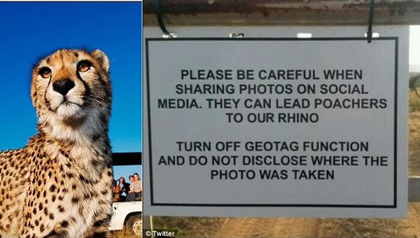 南非国家公园呼吁游客不要打卡 会暴露野生动物行踪成为盗猎者线索