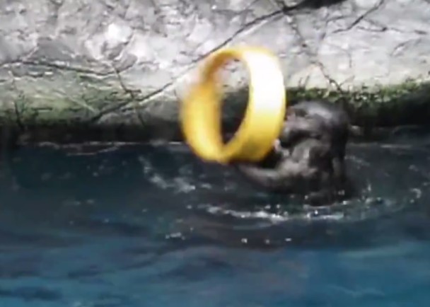 ˮ̡������������Ȧ��ˮ�в��ϴ�ת�������������������Ѱ顣