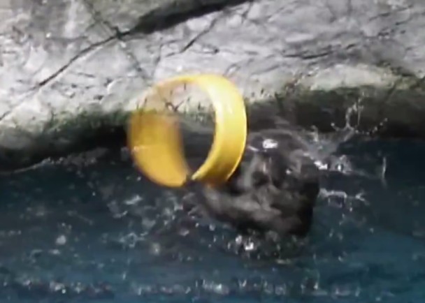 �����ס�ˮ̡��ȫȻ��֪�����Ѱ飬���������Ȧ���ˮ���Ľ���