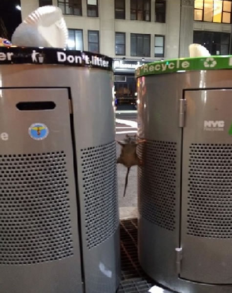 ������������֧֫������������Ͱ֮�����С�