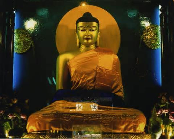 ������˹̹֪������ѧ����Ϊ��̴�ʼ������Ĳ��������������ѪԵ��ϵ