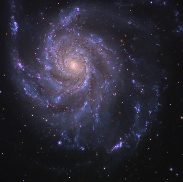 Ia型超新星在宇宙中的分布较为均匀,宇宙学家已经把Ia型超新星作为宇宙观测中的“信标”