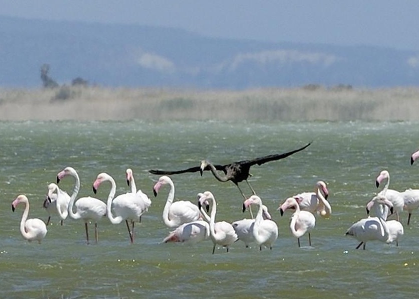 �����й�����ʿ���ָ�ֻ��ɫ���