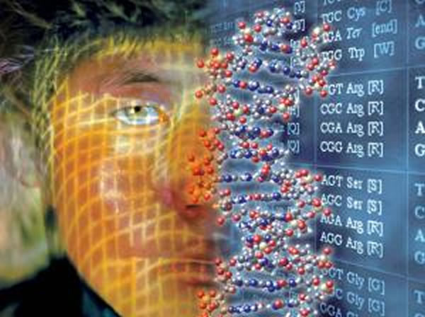 ��������������ѧ������������Ү����Ϊ����������Ĳ��������������ѪԵ��ϵ��