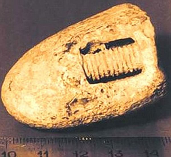 һöǶʯͷе˿״ÿѧʮ