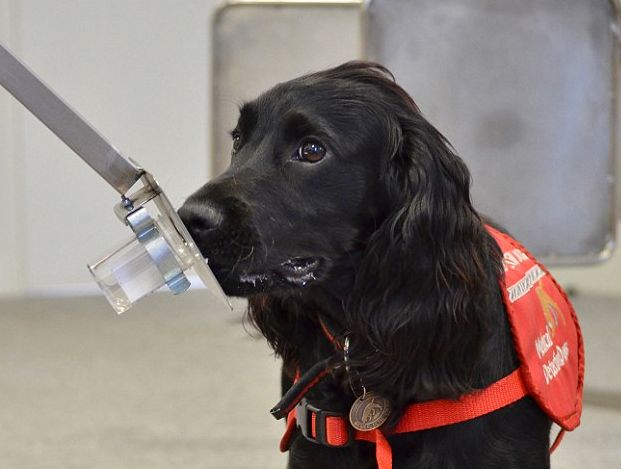 �о����֣���ֻƾ��̽������Һ�����Լ�⵽ǰ���ٰ����ɿ��ȸߴ�98%��