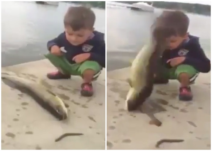 ���򱻴�������沿��