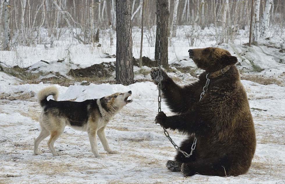 һܣЩԹҪܴطͽУԱø߷֡