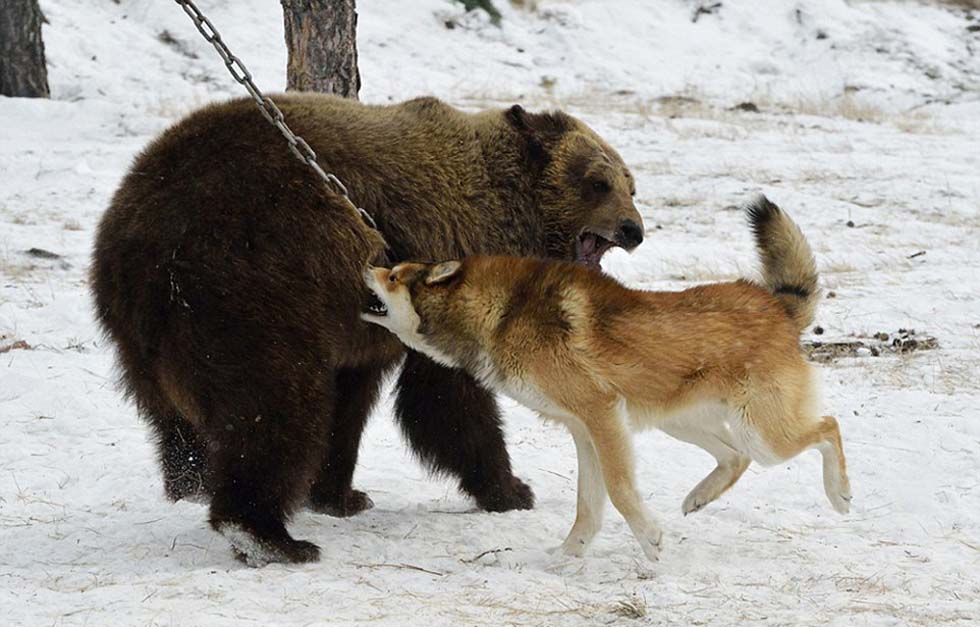 Ȯ˱ʾɯ䵱ԾеɫѾꡣ